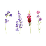 Tatouage ephemere -lavande et fleurs rouges/violettes des champs