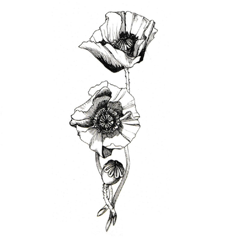 Sitemapcdatahttpsmodeinf Inetcomtatouage Coquelicot Noir Et Blanc