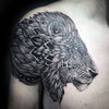 Lion Maori