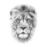 Tatouage éphémère | temporaire - Beau lion réaliste, Skindesigned